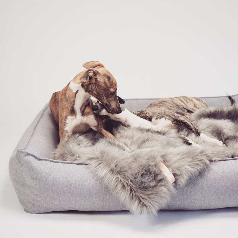 Cama para perros elegante MØVIK Gris