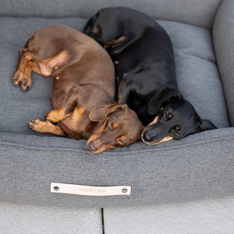 Cama para perros elegante MØVIK Gris