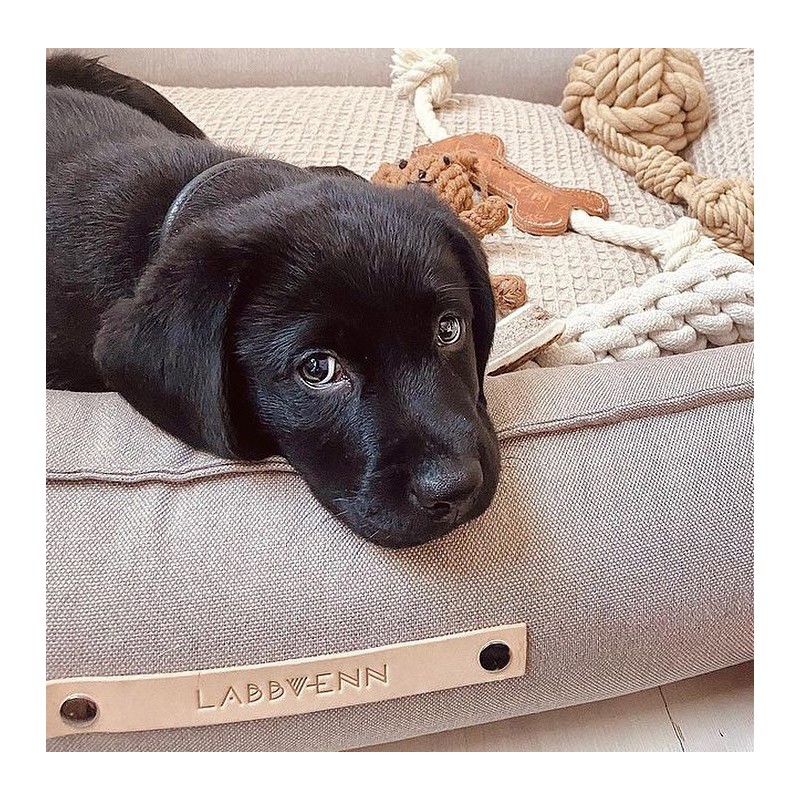 Sofas para perros grandes TÖVE Antracita