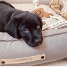 Sofas para perros grandes TÖVE Antracita