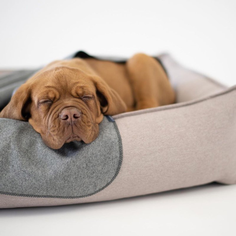 Sofas para perros grandes TÖVE Antracita