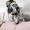 Colchoneta cama para perro FINNO