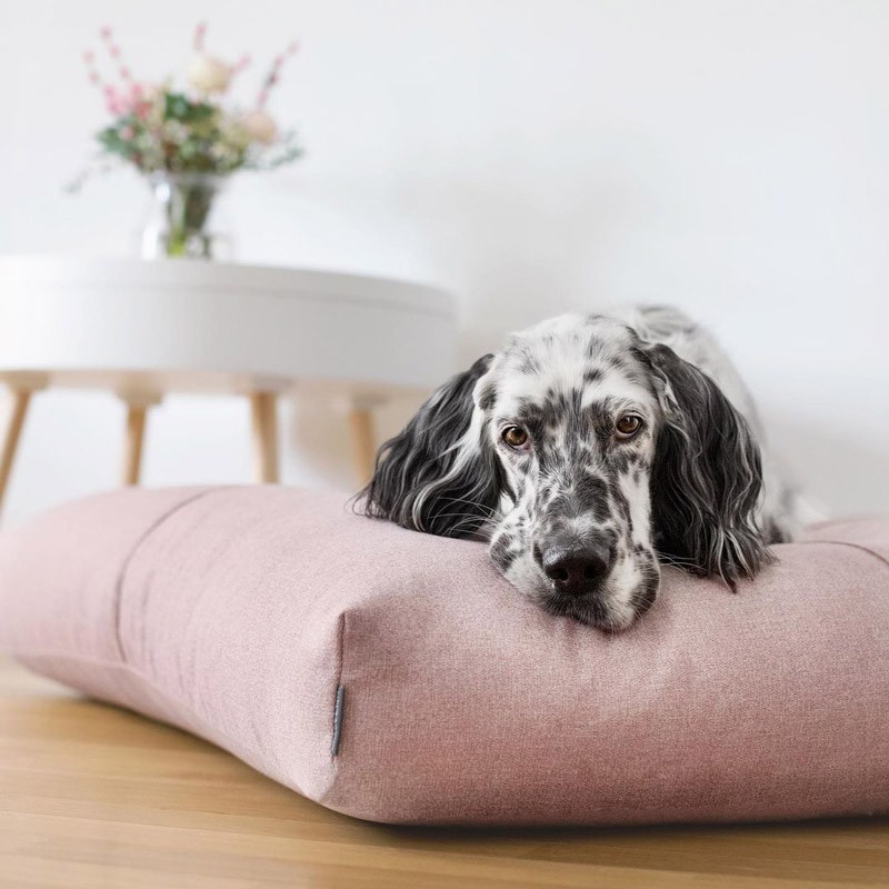 Colchoneta cama para perro FINNO