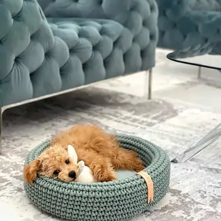 Cama para perro original LUKKO