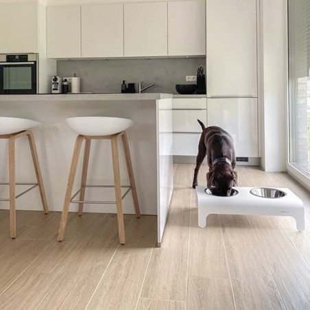 Labbvenn RICO | Comedero alto para perro de aluminio