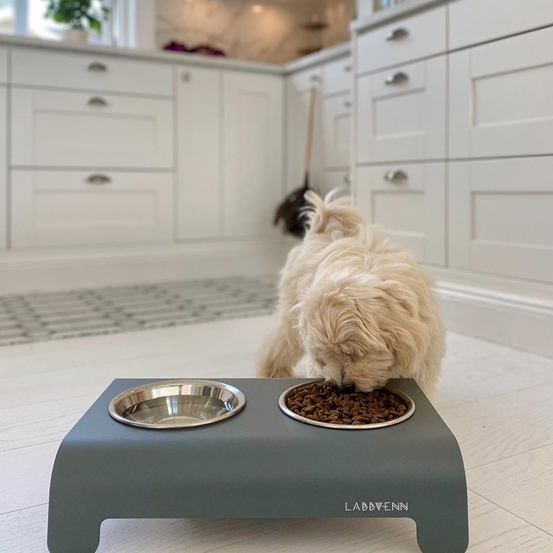 Labbvenn RICO | Comedero alto para perro de aluminio