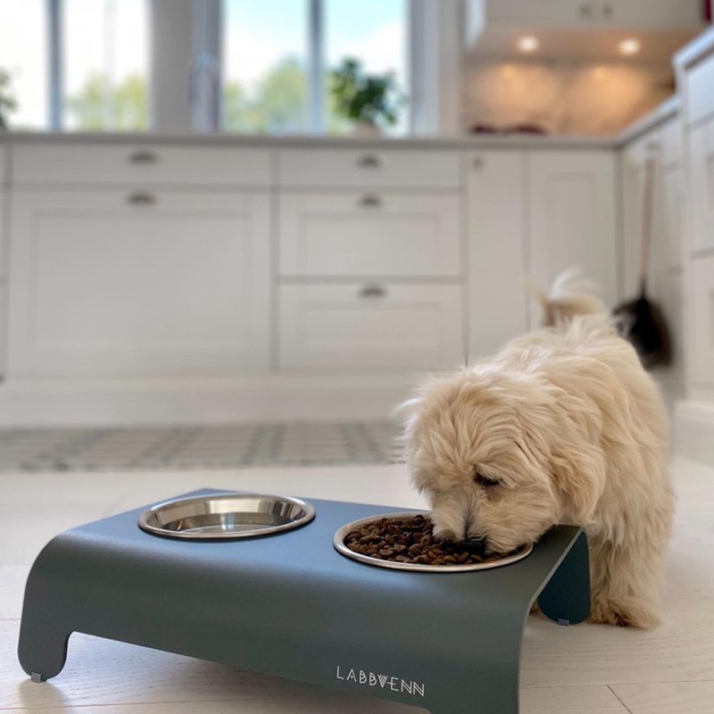 Labbvenn RICO | Comedero alto para perro de aluminio