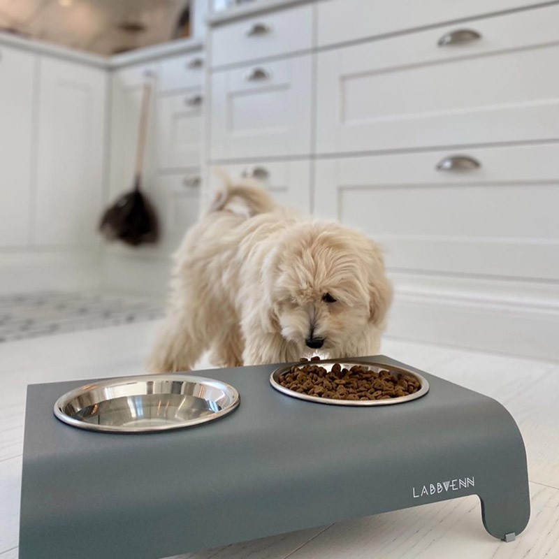 Labbvenn RICO | Comedero alto para perro de aluminio