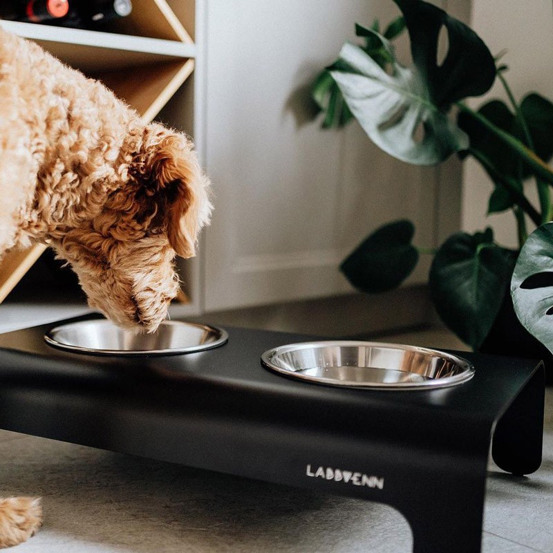 Labbvenn RICO | Comedero alto para perro de aluminio