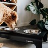 Labbvenn RICO | Comedero alto para perro de aluminio