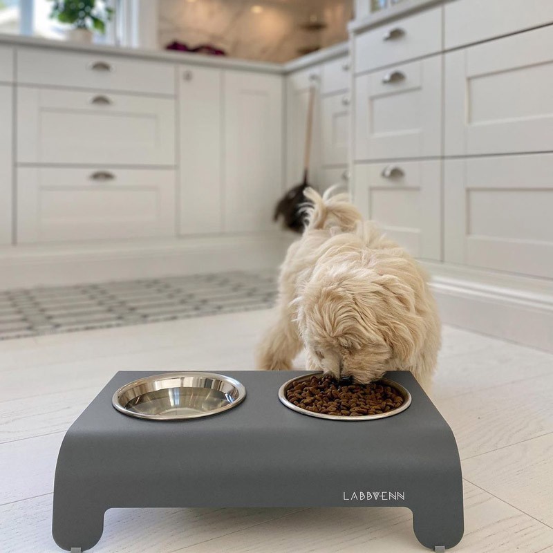 Labbvenn RICO | Comedero alto para perro de aluminio