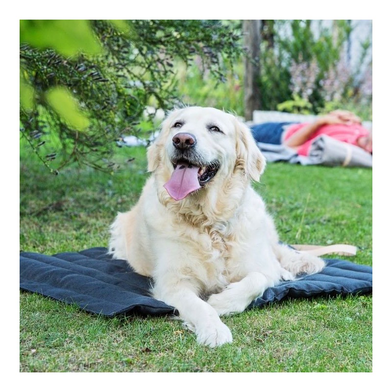 Cama perro verano Fosser Marrón Claro