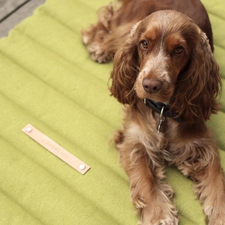 cama fresca para perros Fosser Marrón