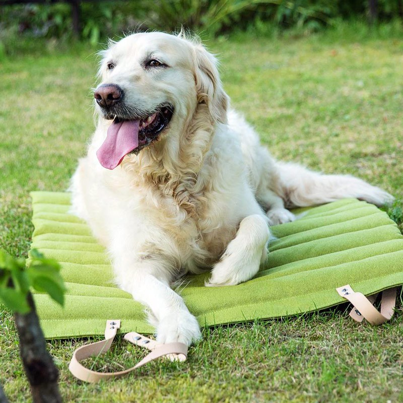 cama fresca para perros Fosser Marrón