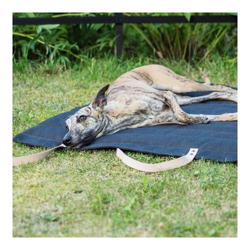 cama fresca para perros Fosser Marrón