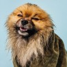 Albornoz para perros y toalla Sylt
