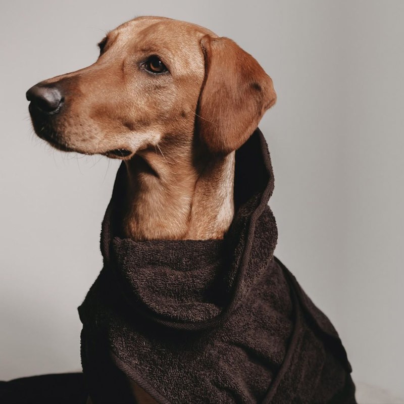 Albornoz para perros y toalla Sylt