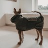 Albornoz para perros y toalla Sylt