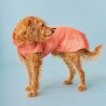 Albornoz para perros y toalla Sylt