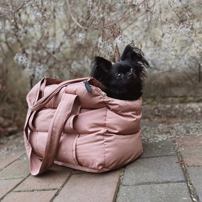 Transportin perro mediano Bergamo Gris