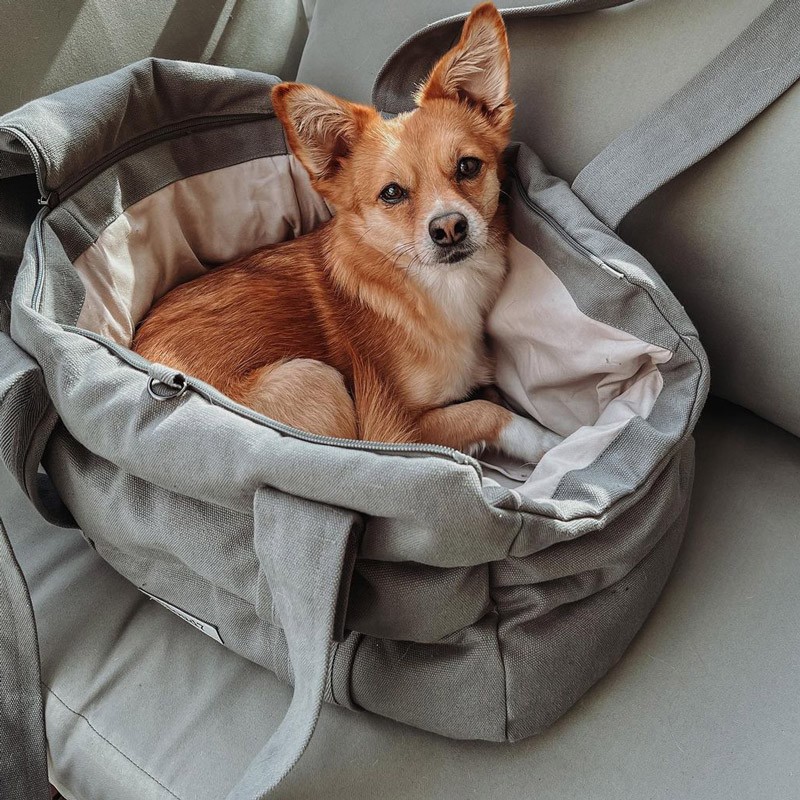 Transportin perro mediano Bergamo Gris