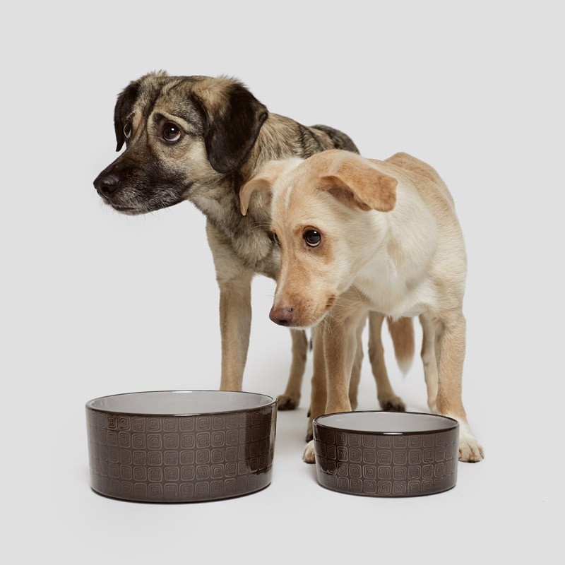 Comedero para perro de diseño Ferran Moca