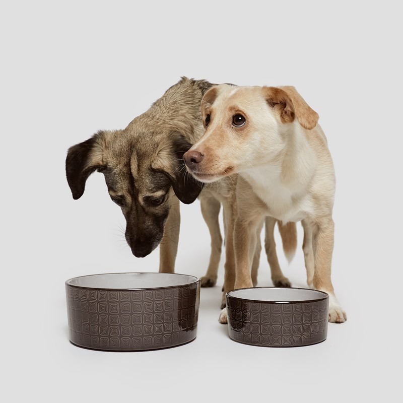 Comedero para perro de diseño Ferran Moca