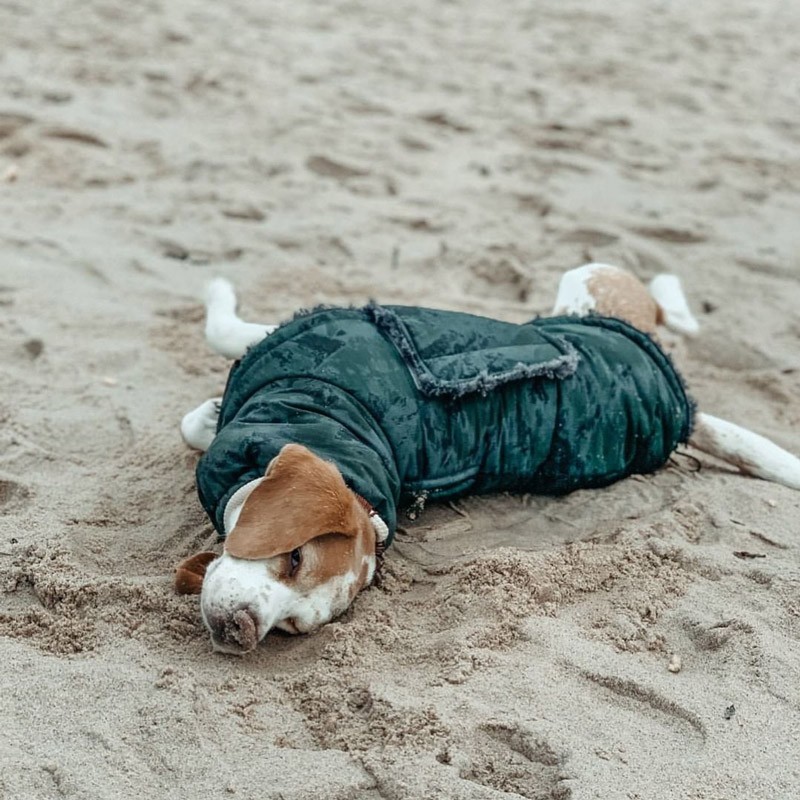 Abrigo para perro Yukon Camuflaje