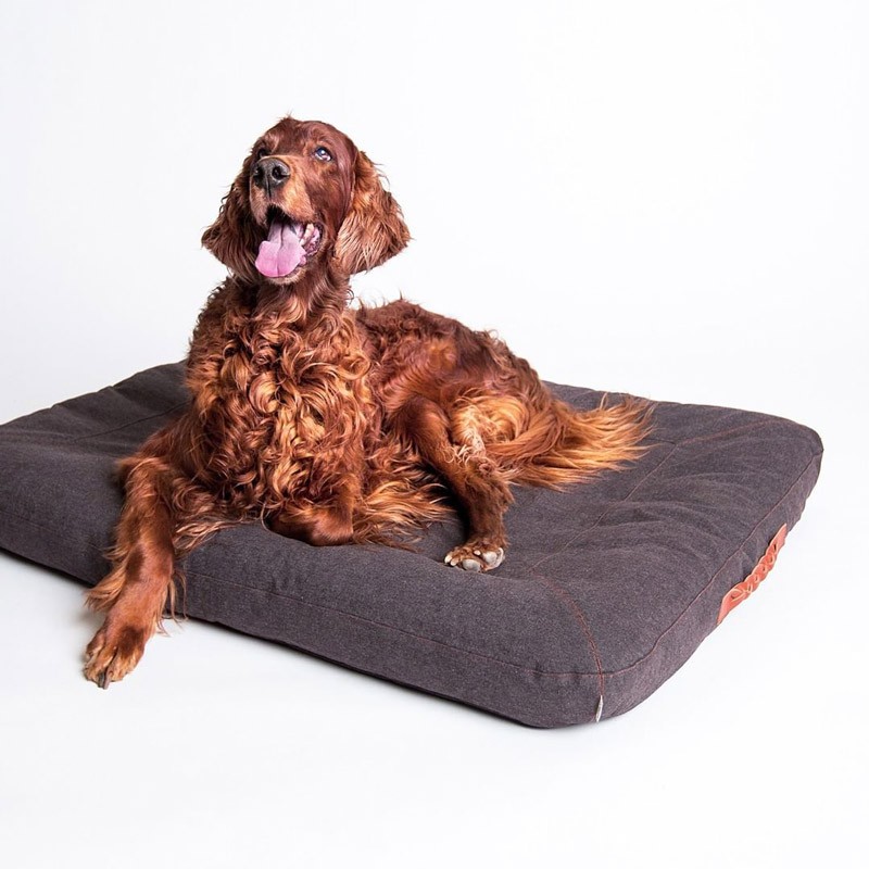 Cama para Perro Dream Marrón Brezo