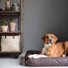 Cama para Perro Dream Marrón Brezo