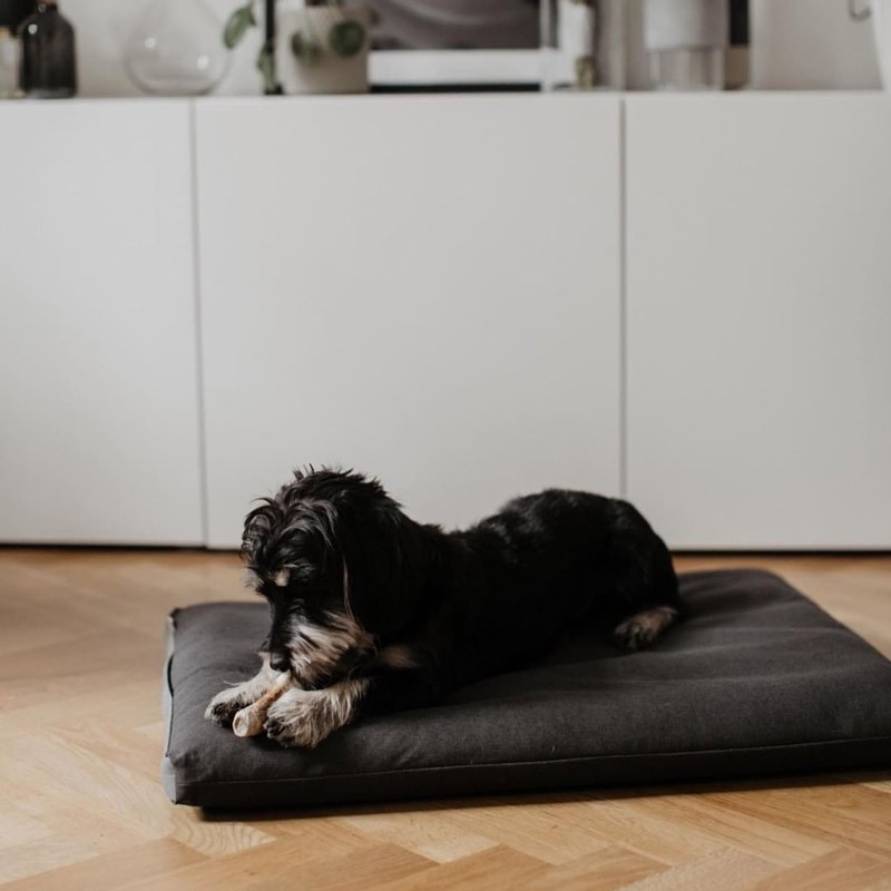 Cama para Perro Dream Marrón Brezo