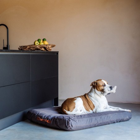 Cama para Perro Dream Marrón Brezo