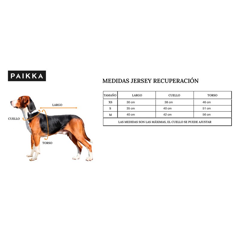 PAIKKA Recovery Winter Shirt | Jersei FIR per a gos