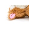 Peluche para perros Banjo