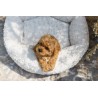 Cama para perro Charlotte crema