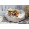 Cama para perro Charlotte crema