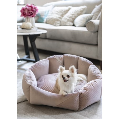 Cama para perro Blissy lila