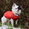 Abrigo para perro Adventure Verde Oscuro