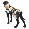 Chubasquero perro Stormy