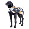 Chubasquero perro Stormy