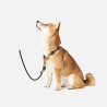 Collar perro OSS negro