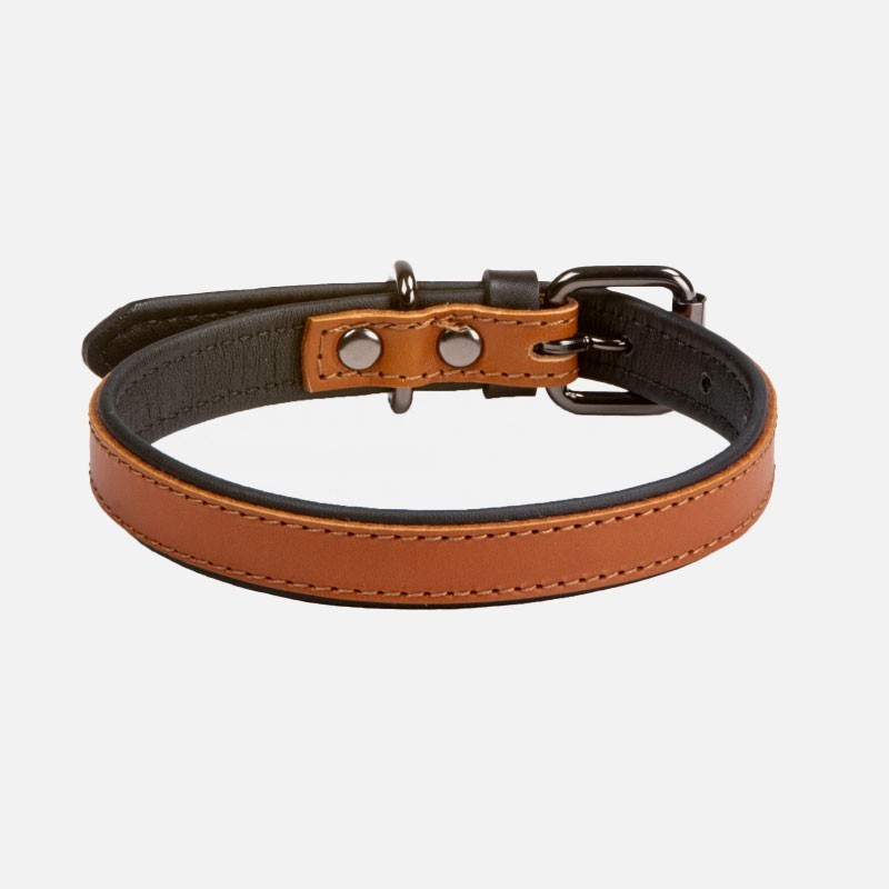 Collar de piel Rukka Dual Conac para perro | Smartdog