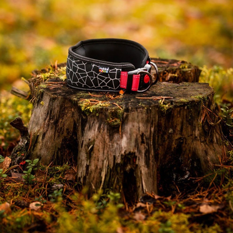 Collar para perro acolchado CUBE