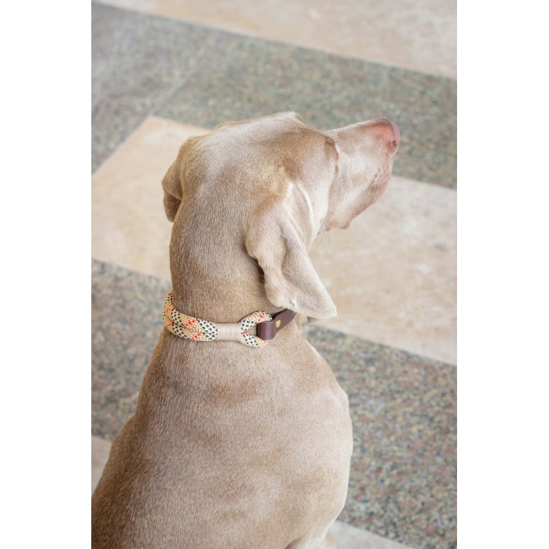 Collar para perro Scottish