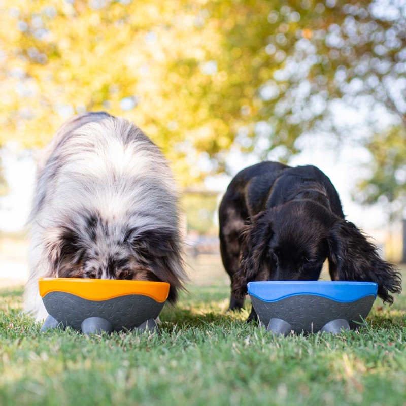 Bol para perros Extraterrestre Naranja