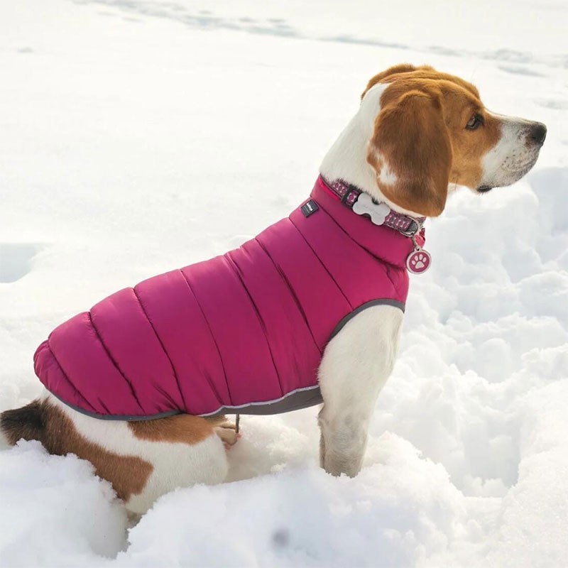 Abric per a gos reversible RED-DINGO (rosa i morat)