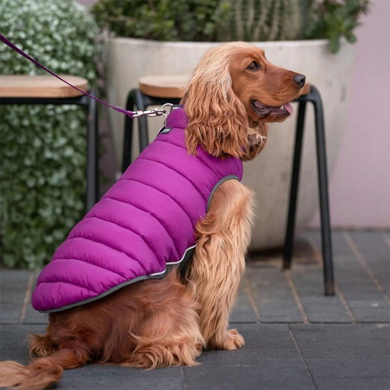 Abric per a gos reversible RED-DINGO (rosa i morat)