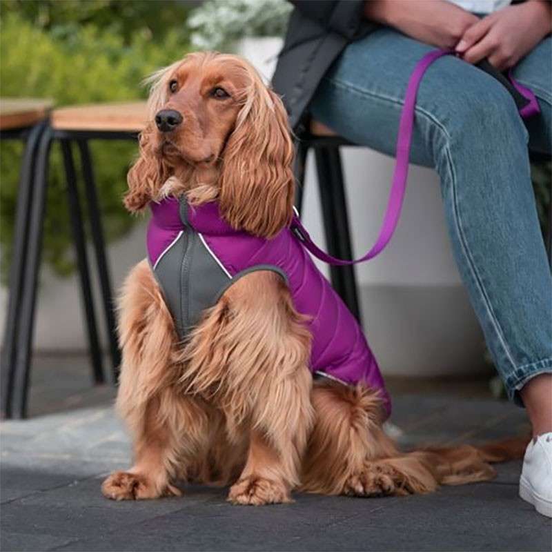 Abric per a gos reversible RED-DINGO (rosa i morat)