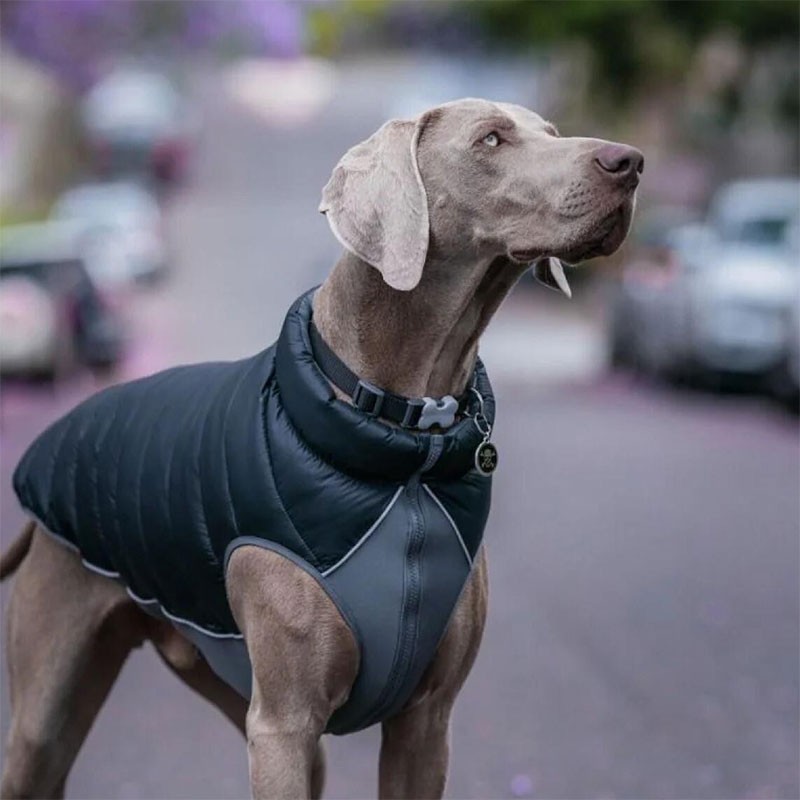 Abric reversible per a gos RED-DINGO (negre-gris)