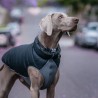 Abrigo reversible para perro RED-DINGO (negro-gris)